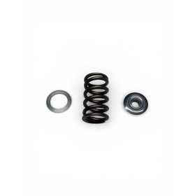 Kit ressorts coupelles supérieure et coupelles inférieur TU5J4 évo