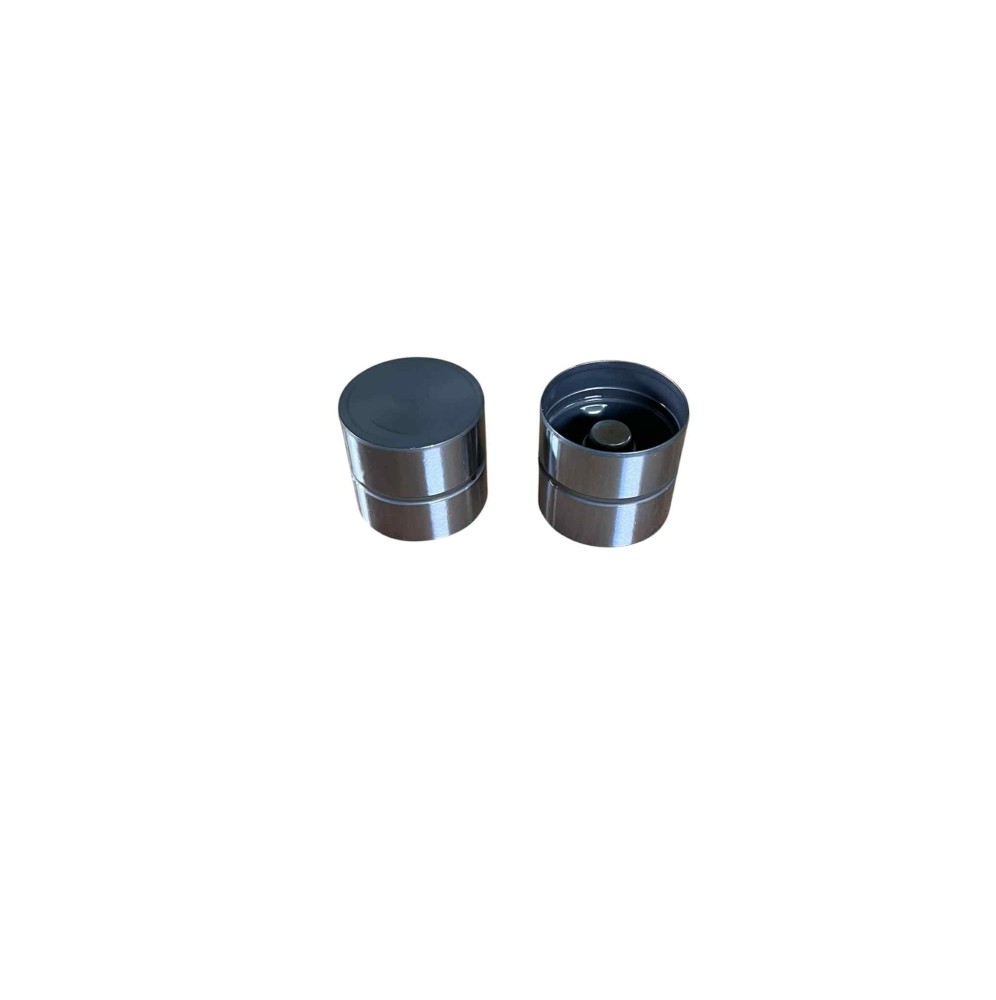 x1 poussoir hydraulique 206 RC diamètre 30.00 mm