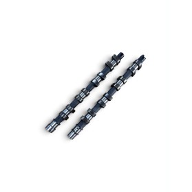 Jeu d'arbres a cames hydraulique 206 RC 10.50 mm ( ressorts/coupelles/calage origine )