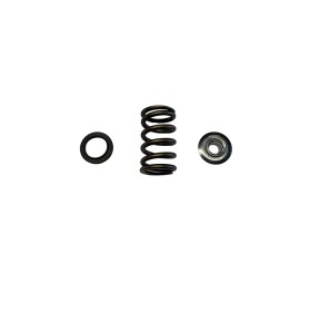 Kit ressorts  coupelles supérieure et coupelles inférieur TU5JP4 évo