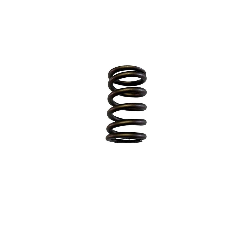Ressort simple de soupape renforcé gra/f2000 tu5j4/tu5jp4
