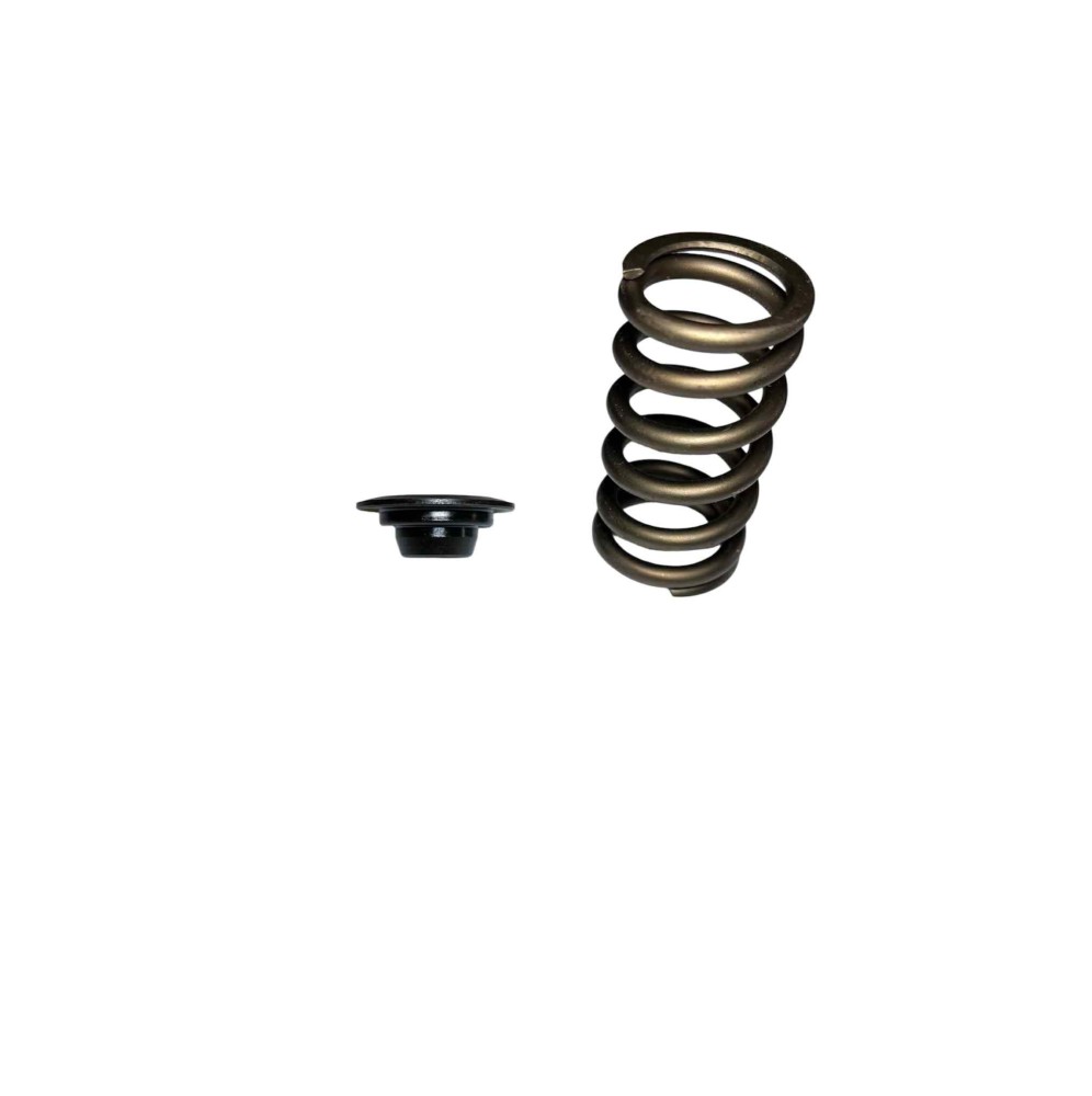 Kit x16 ressorts/coupelles renforcé gra/f2000 tu5j4/tu5jp4