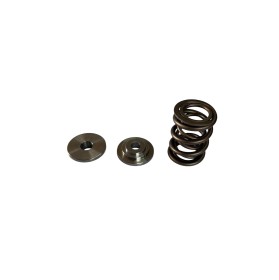 Kit ressorts/coupelles sup XU10J4RS pour montage en poussoirs hydraulique et mécanique
