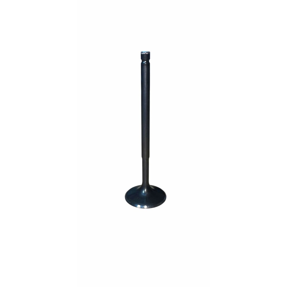 soupape forgée admission c2 s1600/c2 r2 max/tu5jp4 f2000 diam 31.30x6x103.75 mm