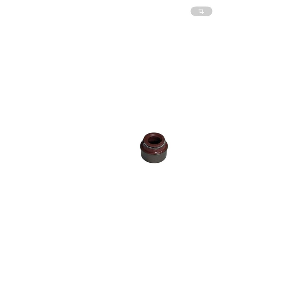 Joint de queue de soupape clio s1600 pour queue de 5.50 mm