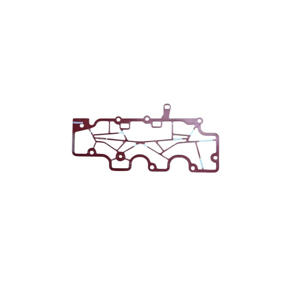 Joint de décanteur F4R clio 3 rs