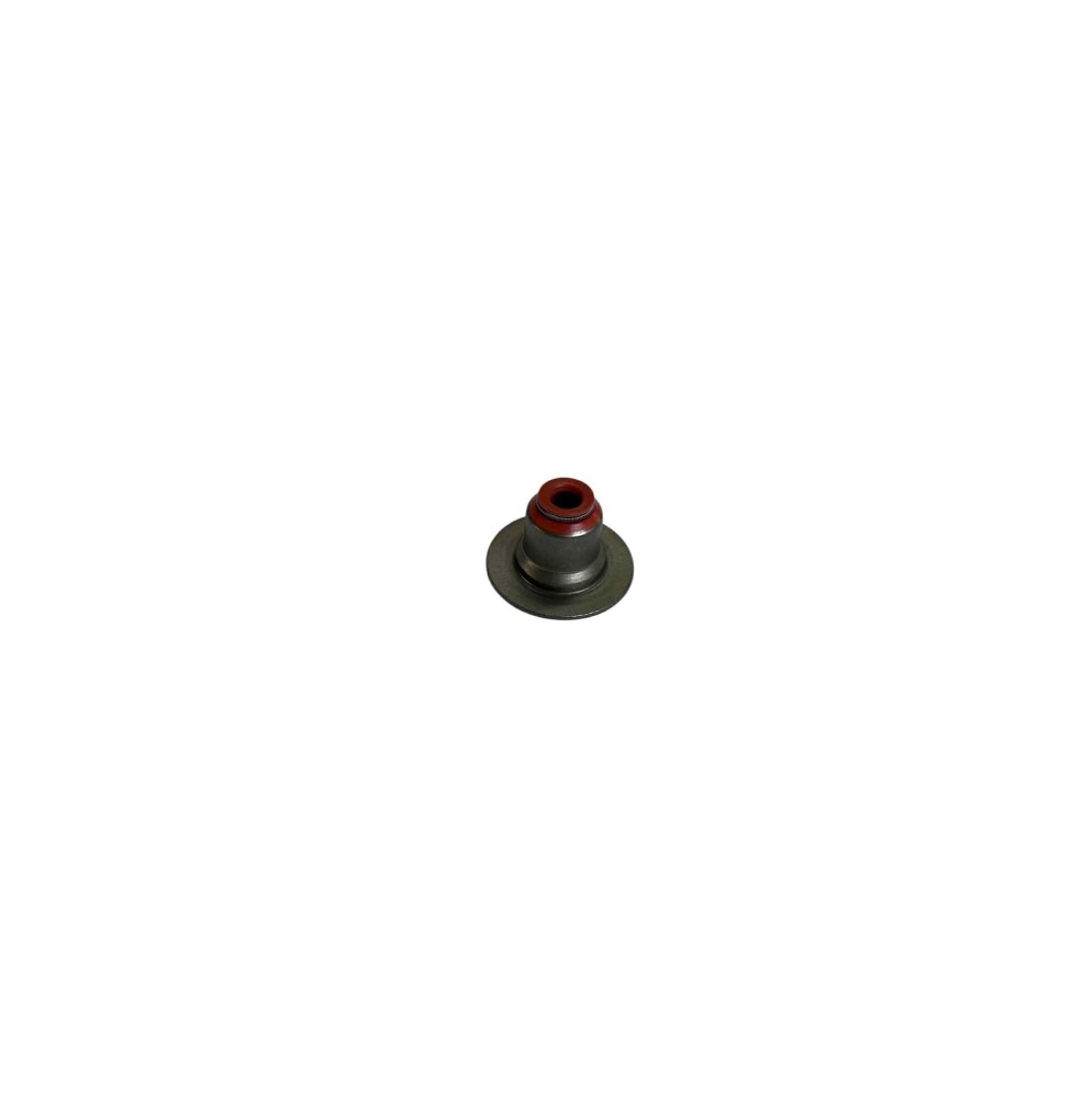 Joint de queue de soupape moteur F4R/K4M