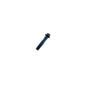 Vis de bielle moteur EW10